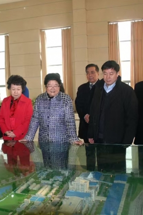 2011年12月14日，第十屆全國人大常委會副委員長顧秀蓮、中國石油和化學工業(yè)聯(lián)合會長李勇武等參加銅化集團成立20周年慶典，蒞臨公司視察。